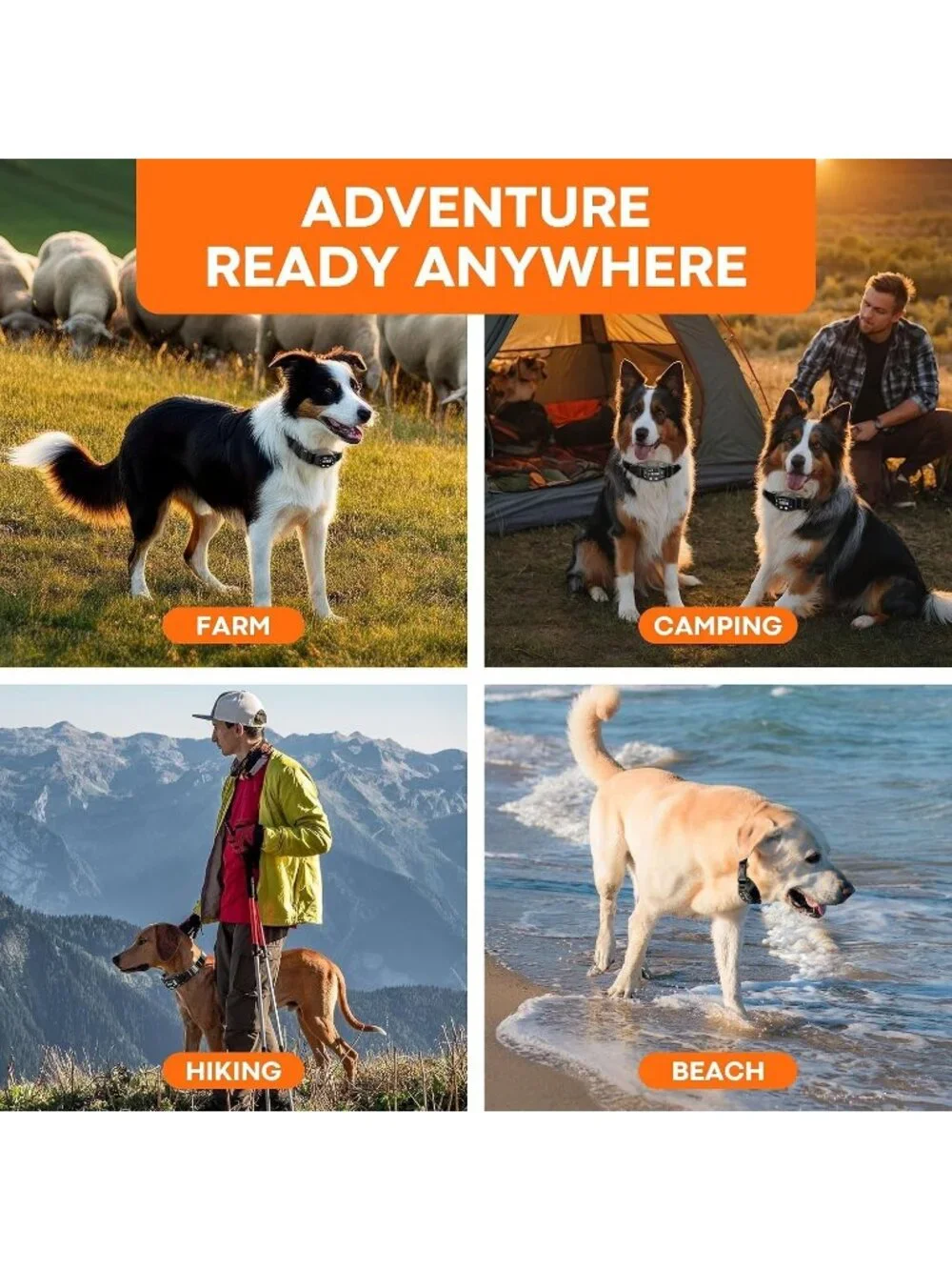 GPS Electric Fence for Dogs Wireless System GPS Collar F850 4 zone 3 modes New